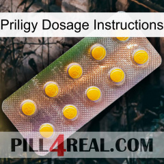 Priligy Dosage Instructions new11